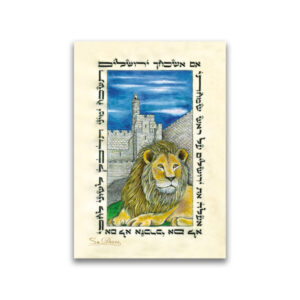 10 Magnets Lion of Zion MPH00125