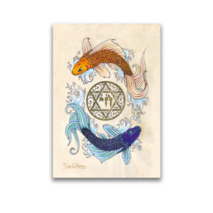 10 Magnets Koi Fish star of david MPH00129