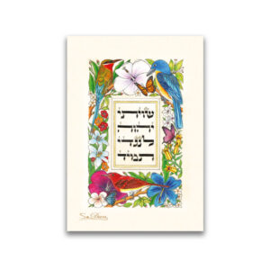 10 Magnets Hebrew Psalms MPH00136