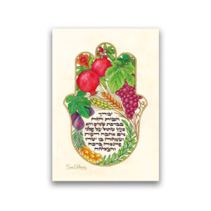 10 Magnets Seven Species Hebrew Home Blessing MPH00150
