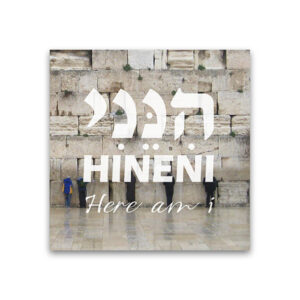 10 Magnets Hineni Western wall MPHE00165
